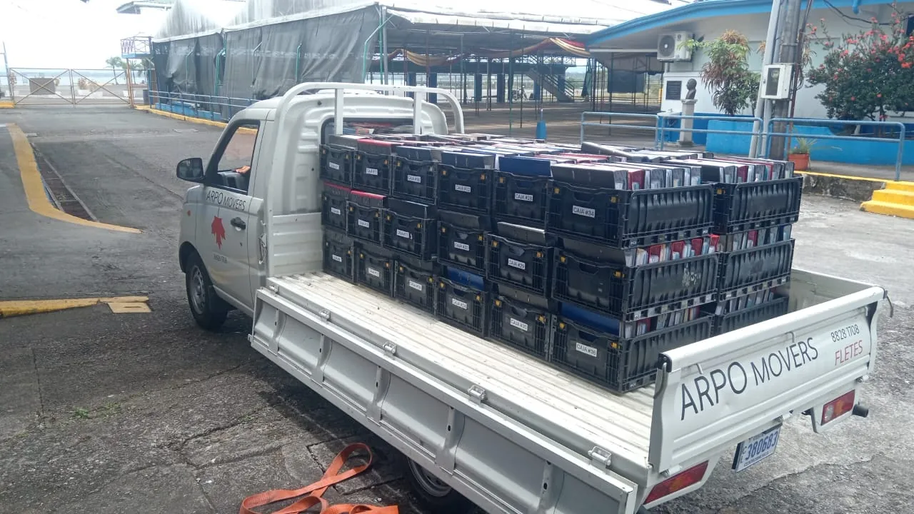 Camioneta Foton de Arpo Movers cargada para un flete